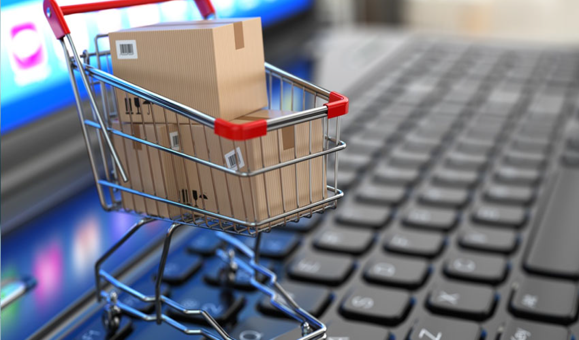 E-commerce: The New Reality